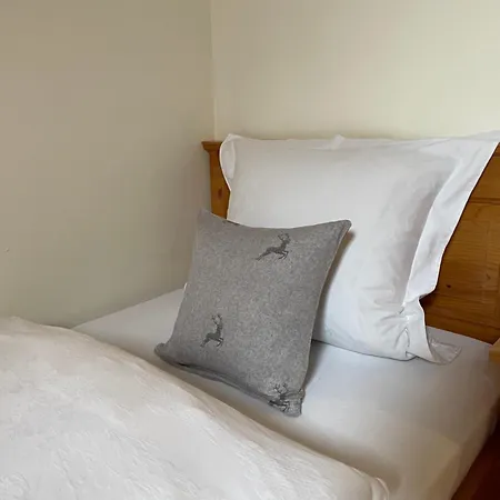 Grosszuegige Alpenwohnung Im Dachgeschoss Apartment Bad Kohlgrub