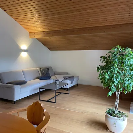 Haus Hochland - Grosszuegige Alpenwohnung Im Dachgeschoss 바트코흘그루프