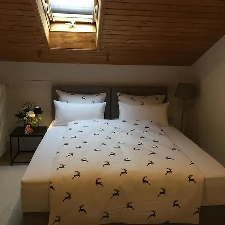 Grosszuegige Alpenwohnung Im Dachgeschoss *
