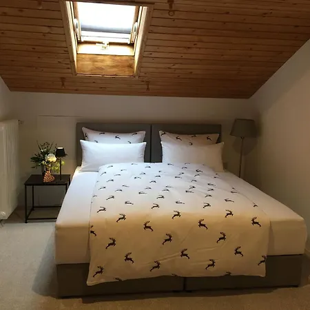 Großzügige Alpenwohnung Im Dachgeschoss