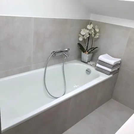 Apartment Grosszuegige Alpenwohnung Im Dachgeschoss Bad Kohlgrub